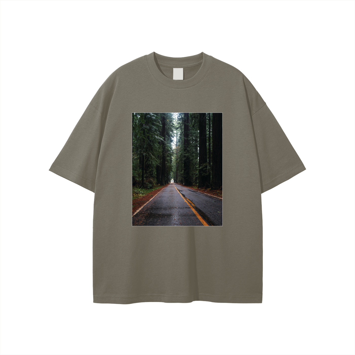 Redwoods,Forest,Giants,California,Green,Fallen,Tree,Road,Foggy,Moody
