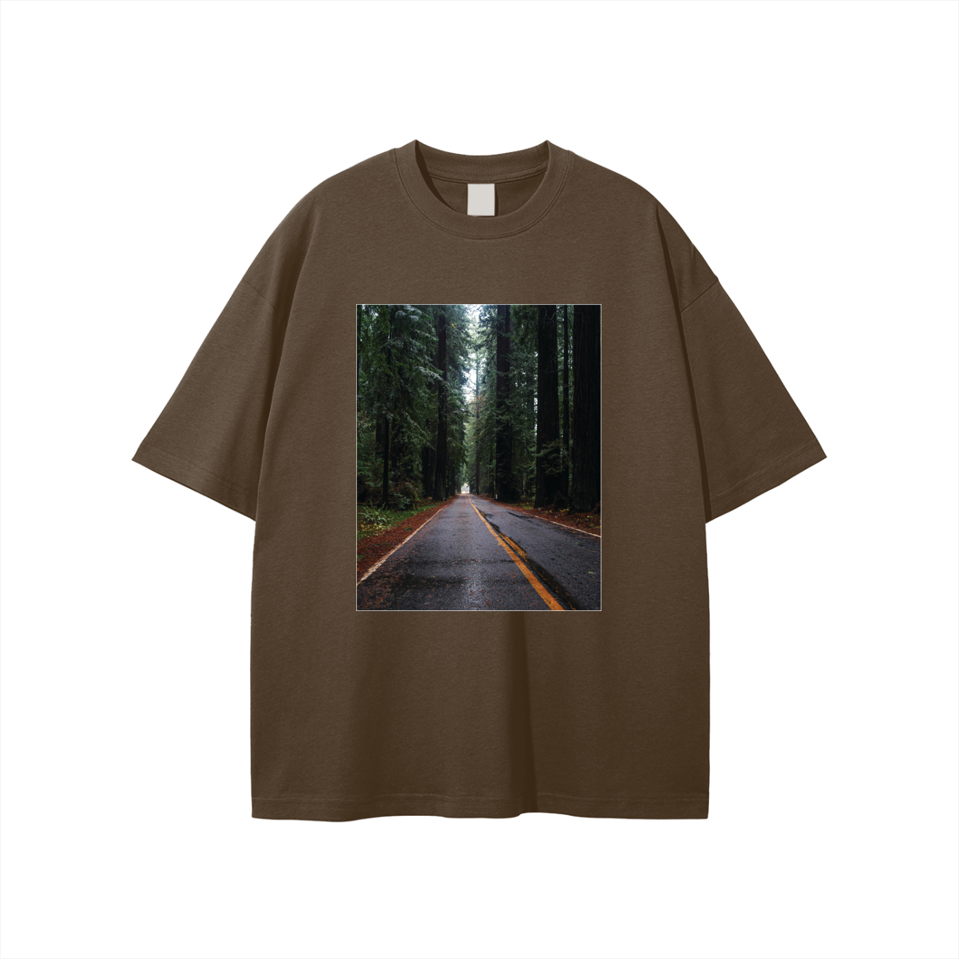 Redwoods,Forest,Giants,California,Green,Fallen,Tree,Road,Foggy,Moody