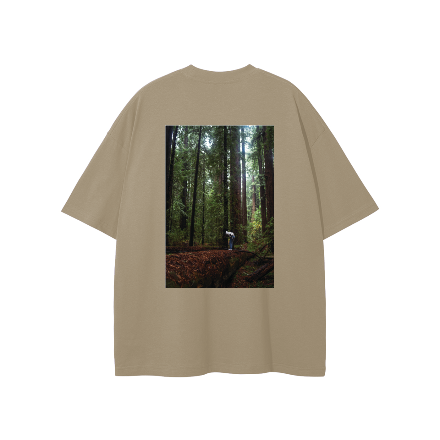Redwoods,Forest,Trees,Moody,Person,Wandering,Giants,California,Image,Worn