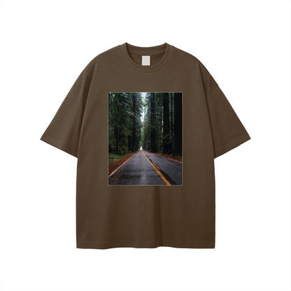 Redwoods,Forest,Giants,California,Green,Fallen,Tree,Road,Foggy,Moody