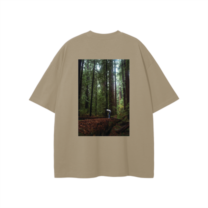 Redwoods,Forest,Trees,Moody,Person,Wandering,Giants,California,Image,Worn